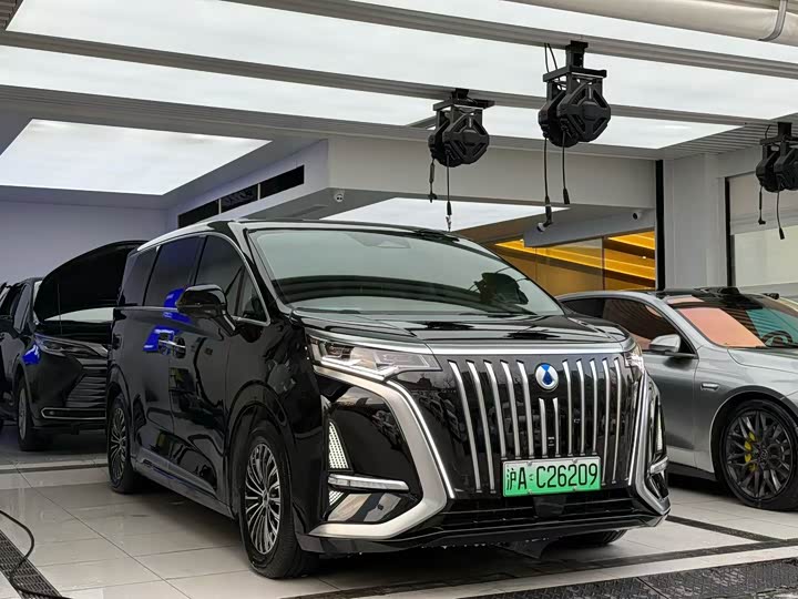 Фото 3 - Denza D9