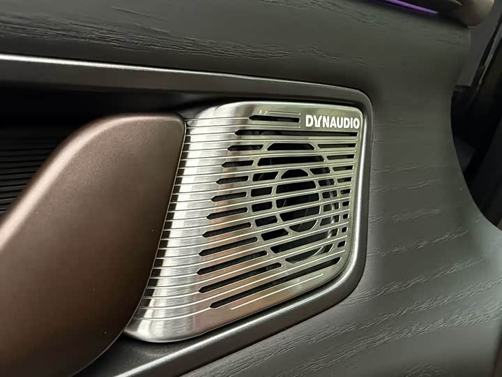 Фото 9 - Denza D9