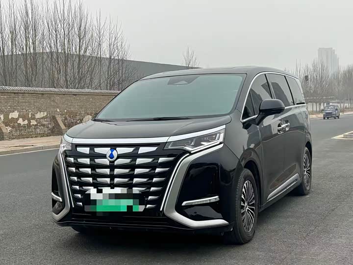 Фото 1 - Denza D9