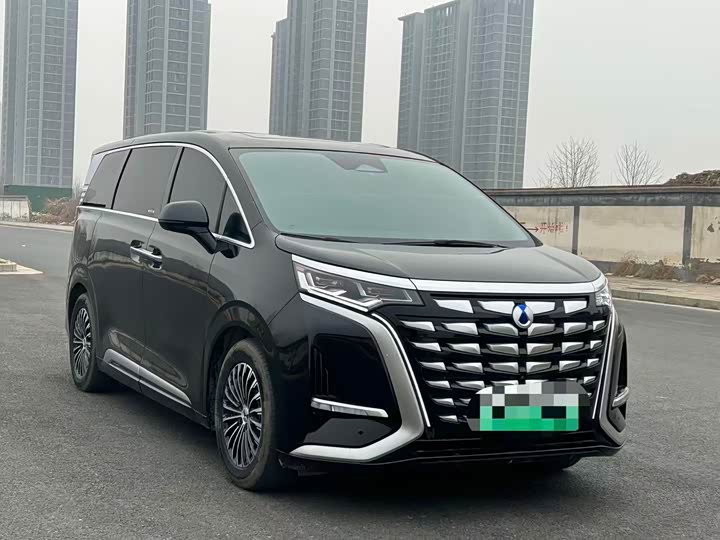 Фото 2 - Denza D9