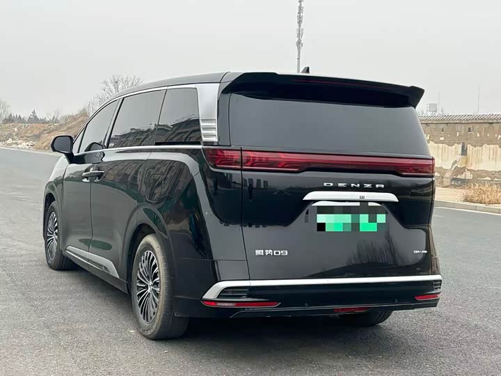 Фото 4 - Denza D9