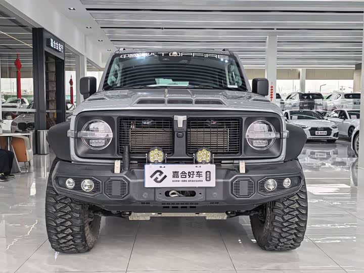 Фото 2 - Tank 300