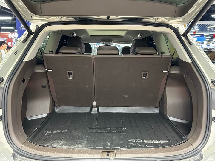 Фото 7 - Volkswagen Viloran