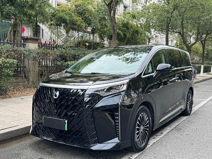 Фото 1 - Denza D9