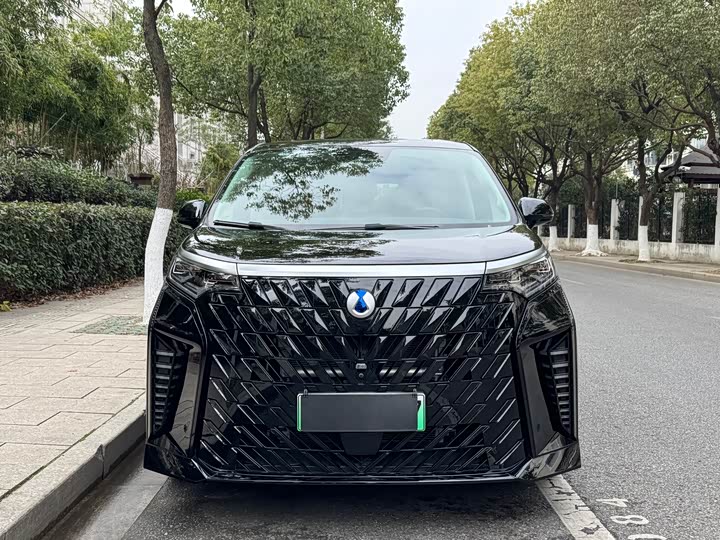 Фото 2 - Denza D9