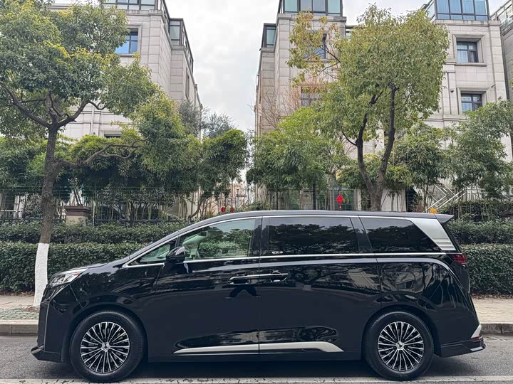 Фото 3 - Denza D9