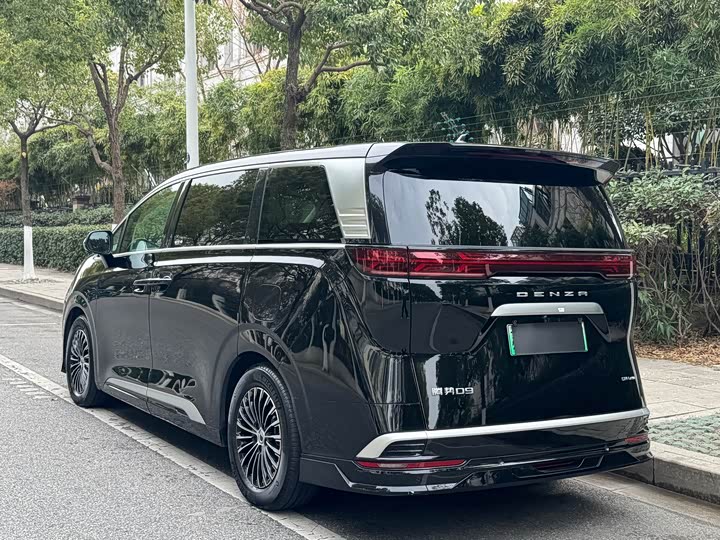 Фото 4 - Denza D9