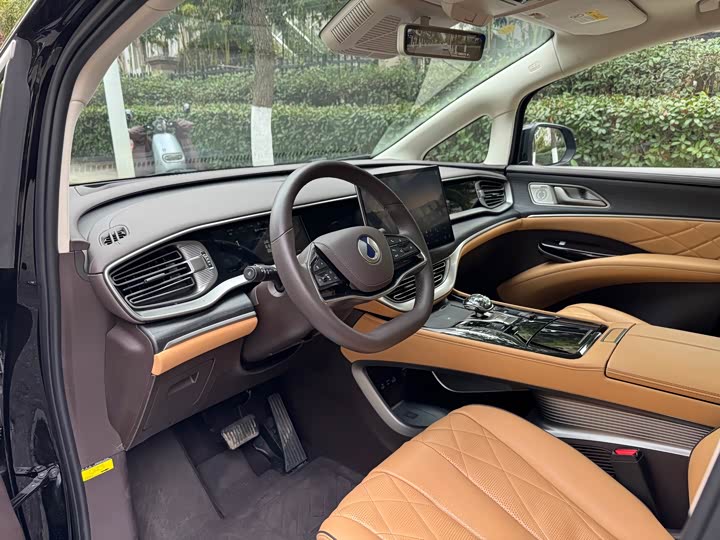 Фото 6 - Denza D9