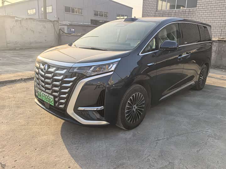 Фото 1 - Denza D9