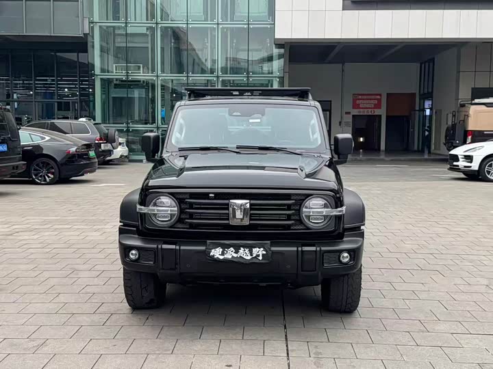 Фото 2 - Tank 300