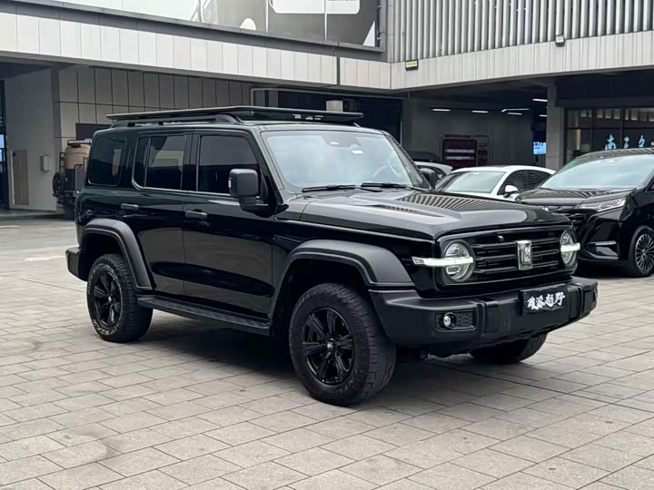 Фото 3 - Tank 300