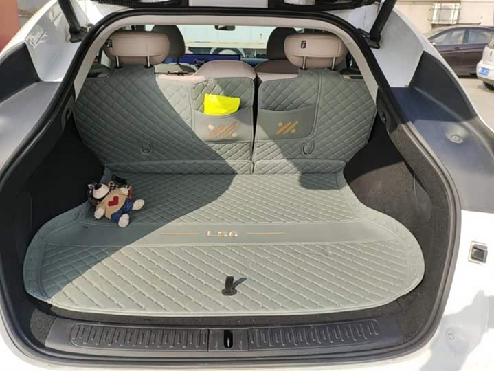 Фото 4 - IM motors LS6