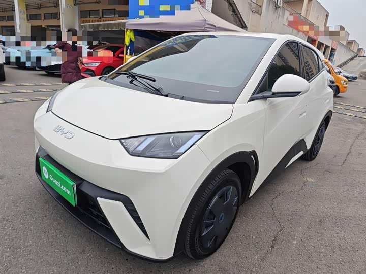 Фото 1 - BYD Seagull