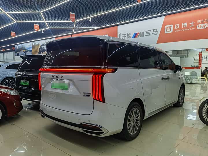 Фото 4 - Wey Gaoshan