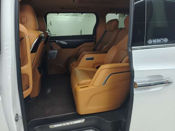 Фото 8 - Wey Gaoshan