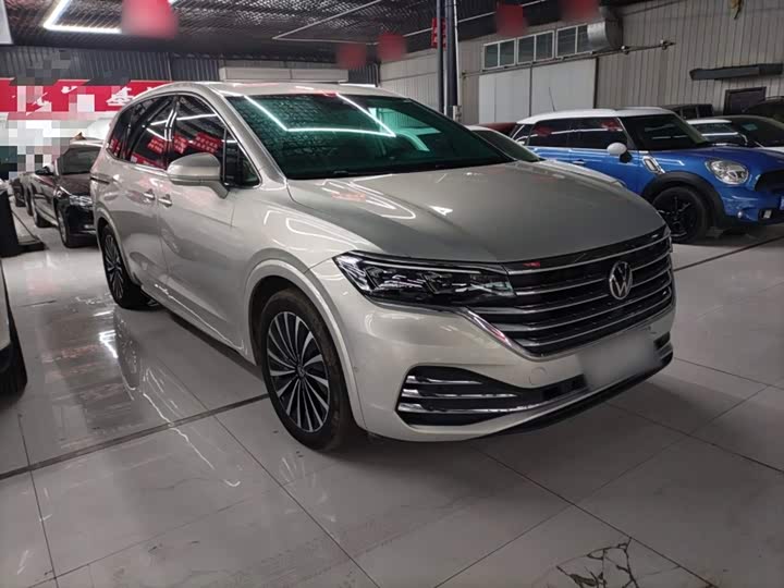 Фото 4 - Volkswagen Viloran