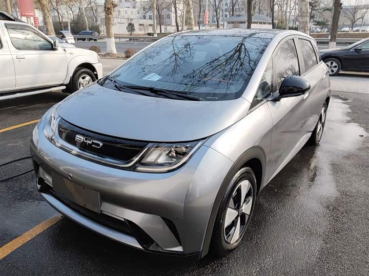 Фото 1 - BYD Dolphin