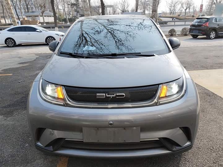 Фото 3 - BYD Dolphin