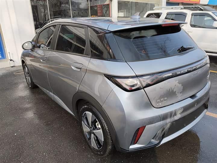 Фото 5 - BYD Dolphin