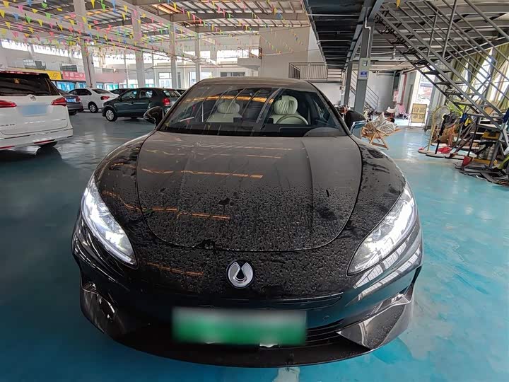 Фото 3 - Denza Z9