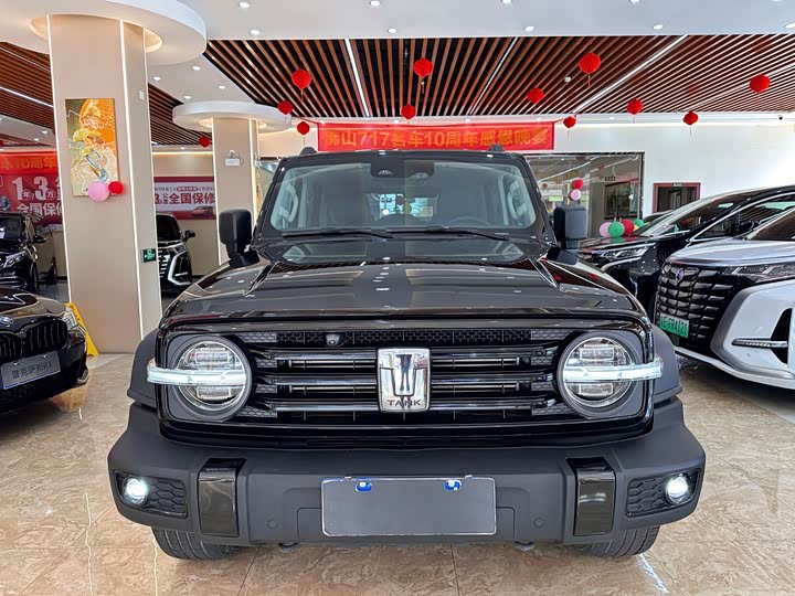 Фото 2 - Tank 300