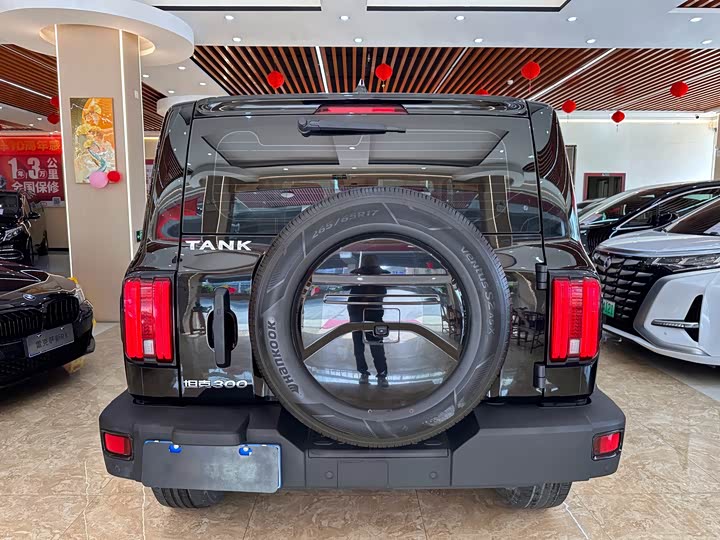 Фото 5 - Tank 300