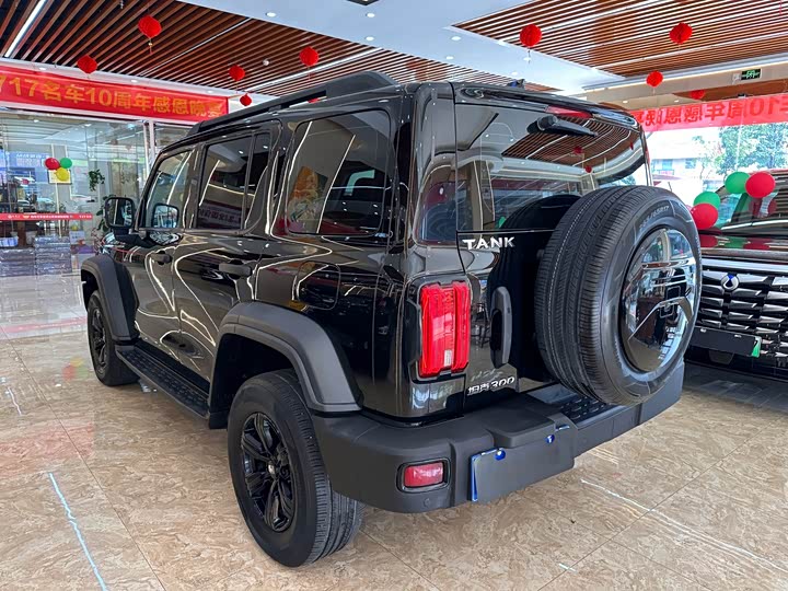 Фото 6 - Tank 300