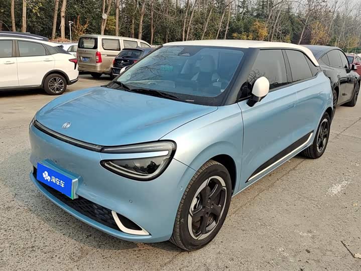 Фото 1 - Dongfeng Nammi 01