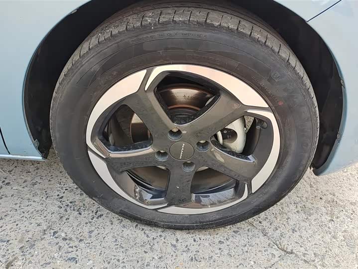 Фото 6 - Dongfeng Nammi 01