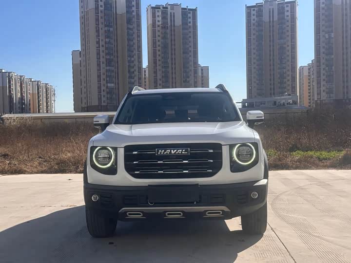 Фото 2 - Haval Dargo