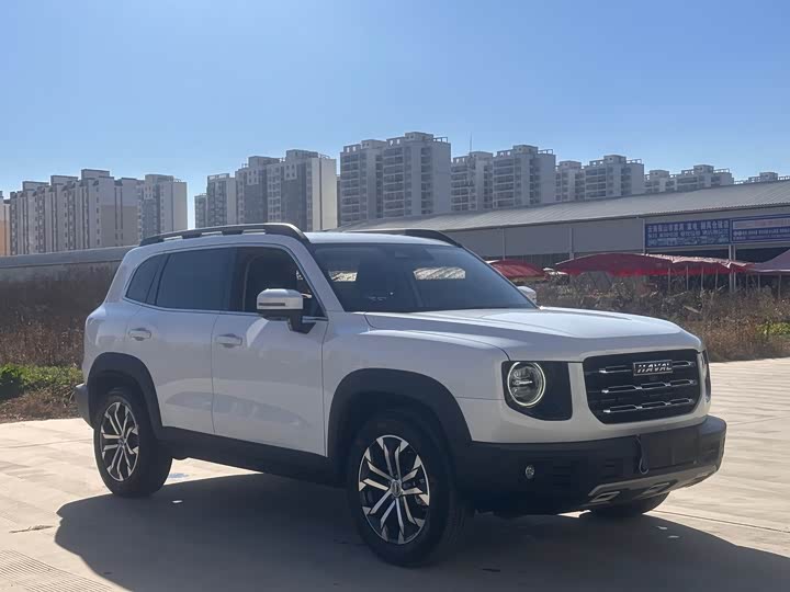 Фото 3 - Haval Dargo