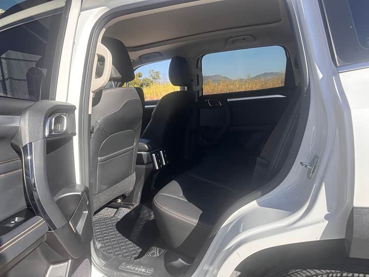 Фото 8 - Haval Dargo