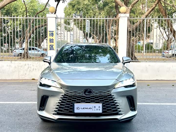 Фото 2 - Lexus RX