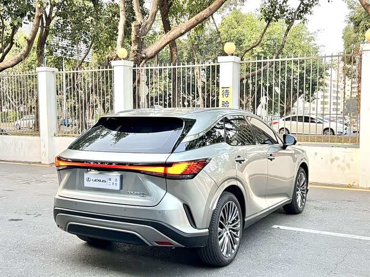 Фото 7 - Lexus RX