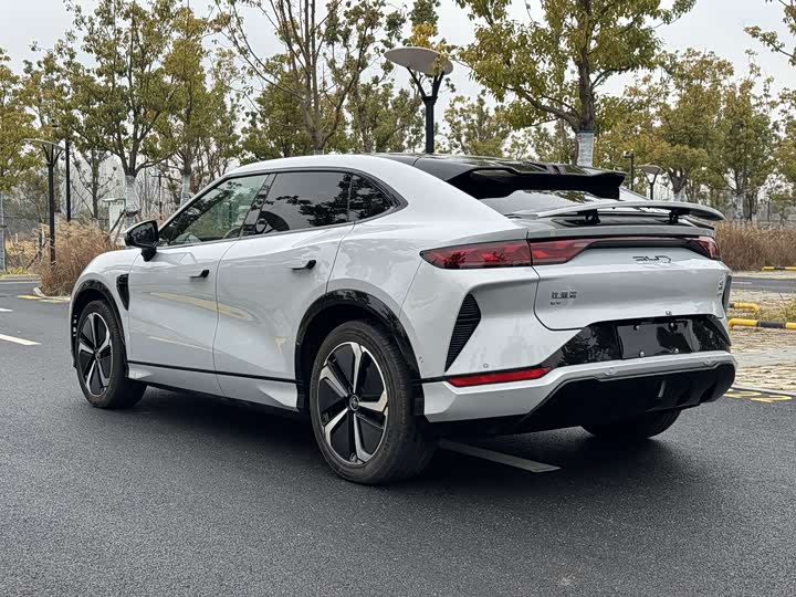 Фото 7 - BYD Song L