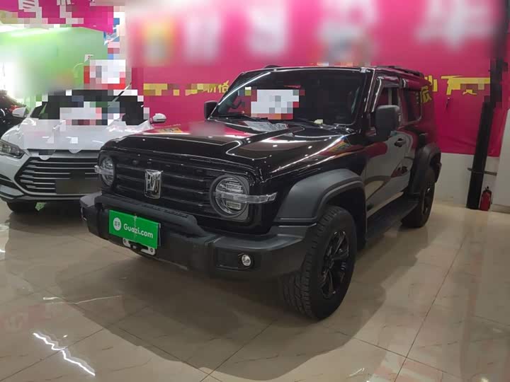 Фото 1 - Tank 300