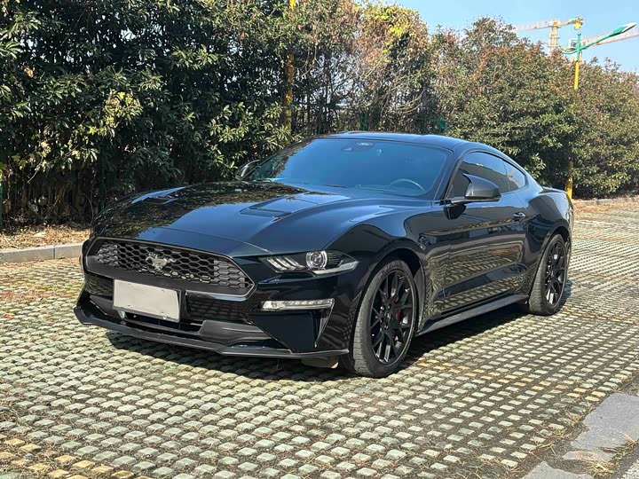 Фото 1 - Ford Mustang