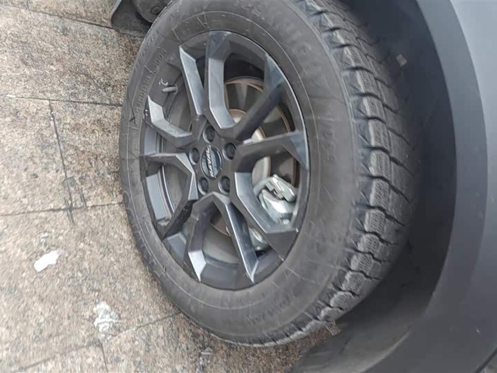 Фото 6 - Haval F7 (Monster)