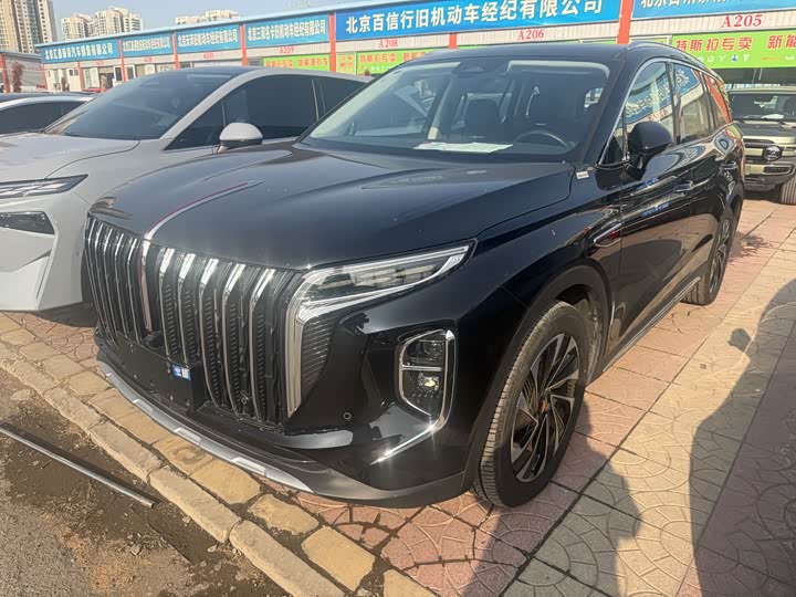 Фото 1 - Hongqi HS7 Hybrid