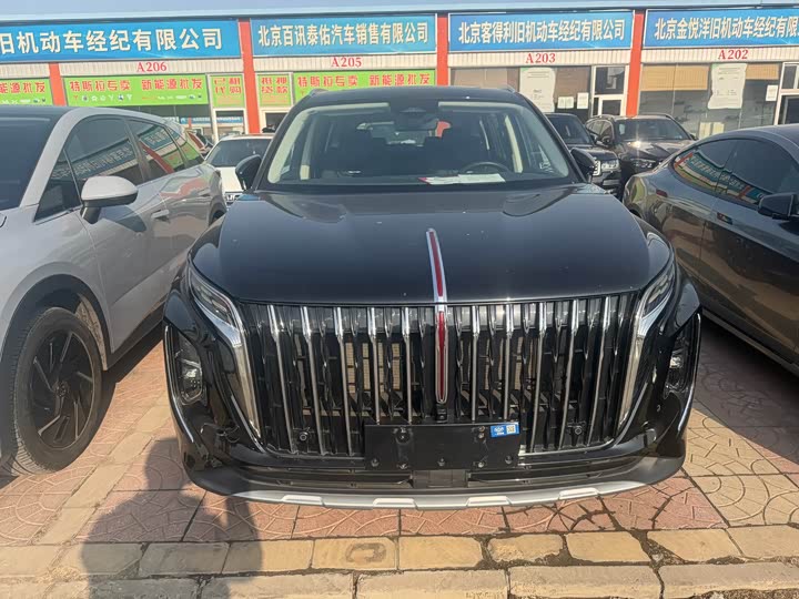 Фото 3 - Hongqi HS7 Hybrid
