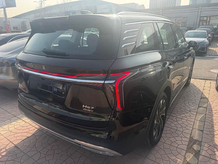 Фото 4 - Hongqi HS7 Hybrid