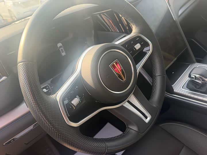 Фото 9 - Hongqi HS7 Hybrid