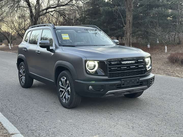 Фото 2 - Haval Dargo