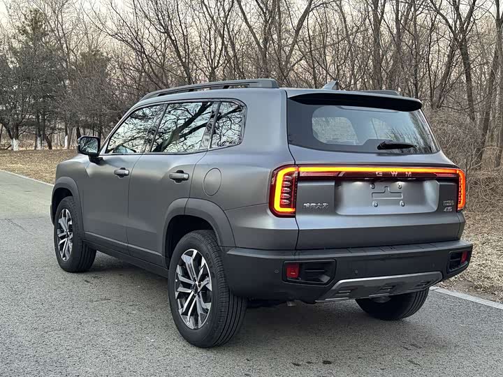 Фото 4 - Haval Dargo