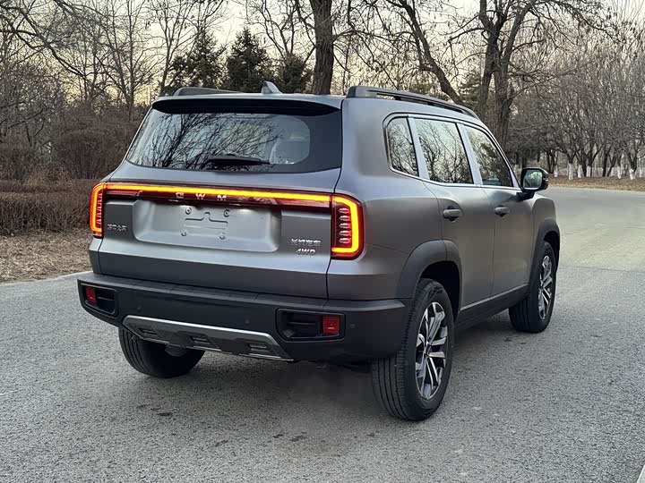 Фото 5 - Haval Dargo