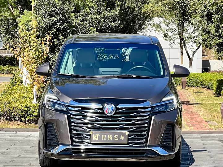 Фото 2 - Buick GL8 ES