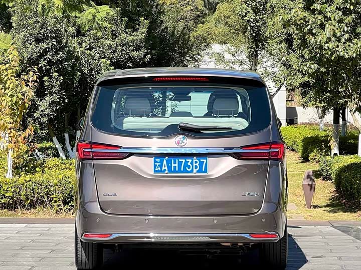 Фото 4 - Buick GL8 ES