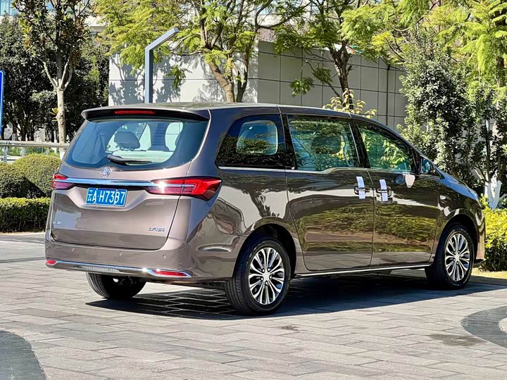 Фото 5 - Buick GL8 ES