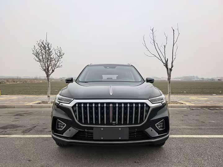 Фото 2 - Hongqi HS5