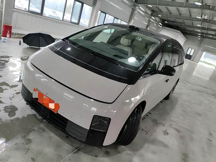 Фото 1 - LiXiang Mega